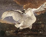 ASSELYN, Jan The Threatened Swan china oil painting reproduction